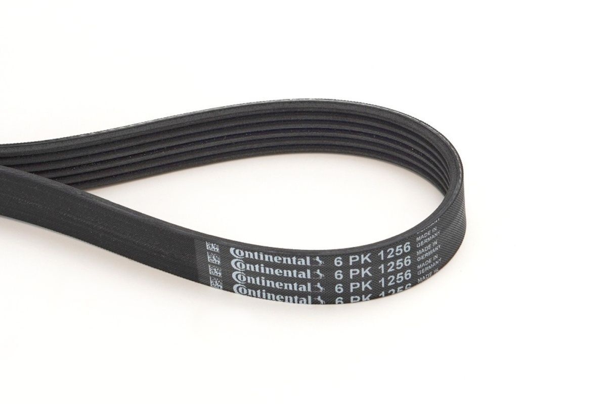 FIAT BRAVO/STILO 96- V KAYISI 71744462 CONTITECH