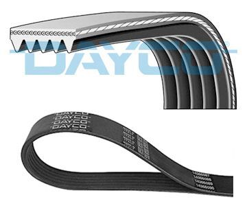 FIAT PALIO 02- V KAYISI 46549624 DAYCO