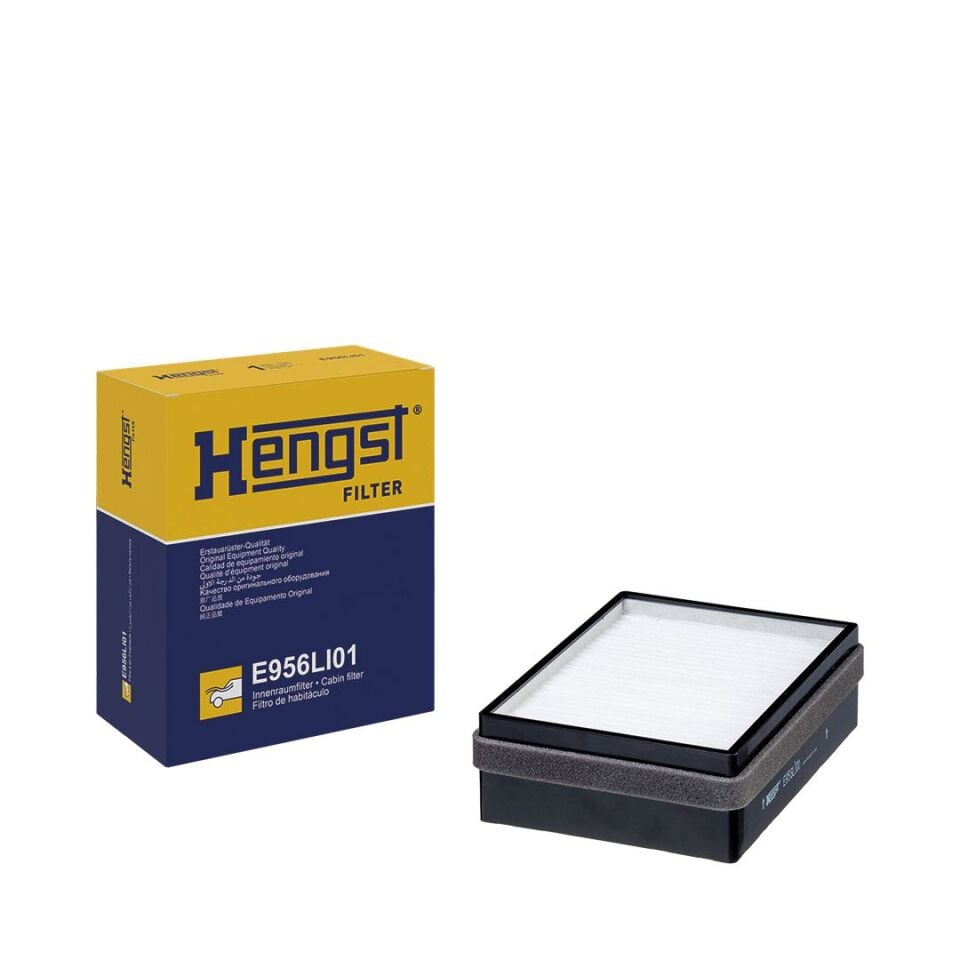 AĞIR VASITA P,G,R,T - series G 340, P 340, R 340 2004- FILTRE, KABIN HAVASI 1379952 BSG