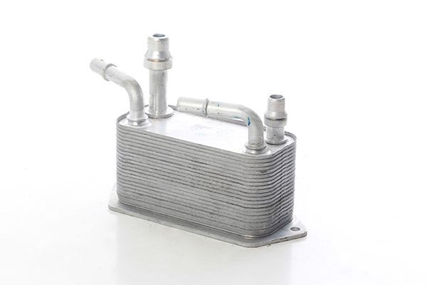 BMW LAND ROVER RANGE ROVER II-III 07- SANZIMAN YAG SOGUTUCU UBC500120 BSG