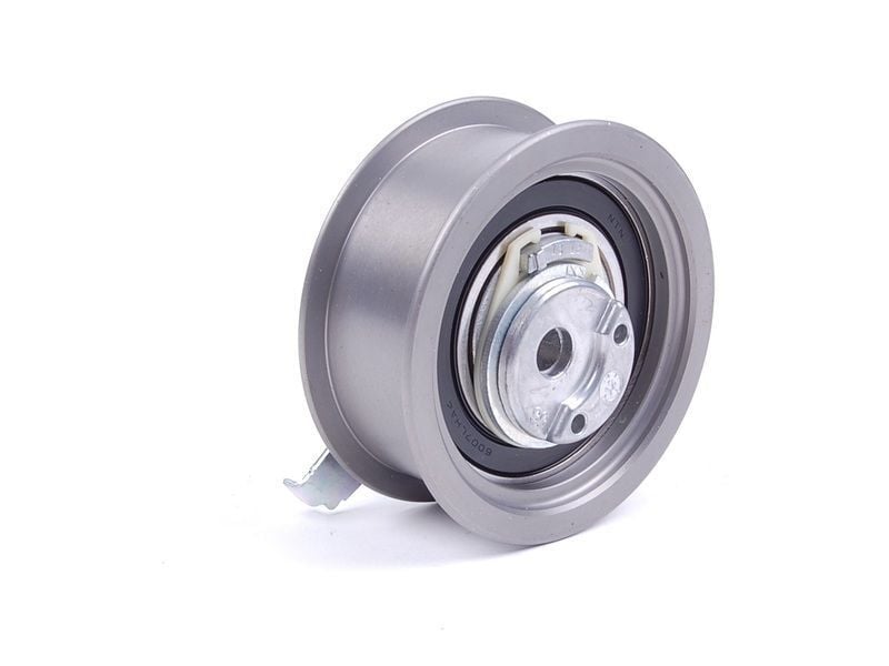 VOLKSWAGEN GOLF4-BORA-A3-TOLEDO-OCTAVIA 97-04 EKSANTRIK GERGI RULMANI 038109243N INA