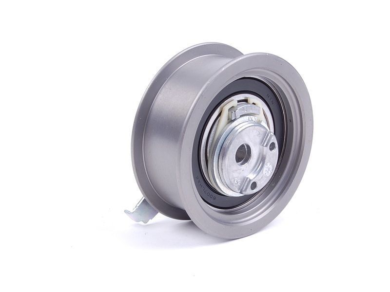 VOLKSWAGEN GOLF4-BORA-A3-TOLEDO-OCTAVIA 97-04 EKSANTRIK GERGI RULMANI 038109243N INA