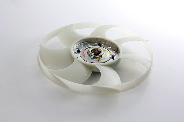 FORD TRANSIT V-362/63 17- FAN TERMIGI GK31 8C617 BA BSG