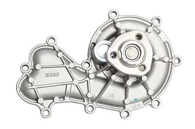 VOLKSWAGEN TOUAREG-Q7-A6 10- DEVIRDAIM 059121008J BSG