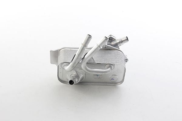 BMW E82-E88-E90-E91-E92-E93 08- SANZUMAN YAG SOGUTUCU 17217536929 BSG