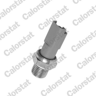 PEUGEOT 206/207/307/308/FIESTA/FOCUS 98- YAG BASINÇ MÜSÜRÜ 1131.C5 VERNET
