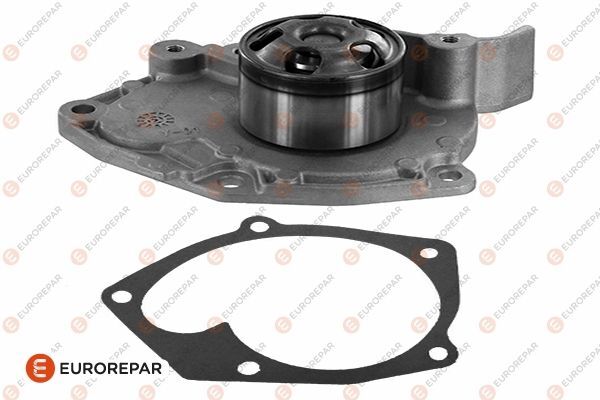 RENAULT MEGAN III / SCENIC III 09- DEVIRDAIM 7701478846 EUROREPAR