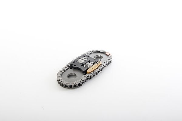 FIAT DUCATO III/DAILY III/IV/VI 06- EKSANTRIK ZINCIR SETI 504068388 BSG