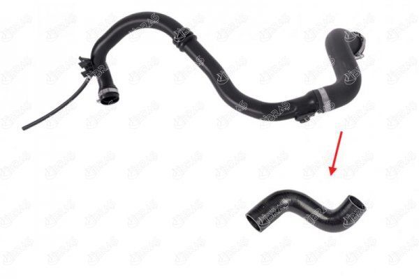 RENAULT CLIO III MODUS 04- TURBO HORTUMU 8200296598 IBRAS