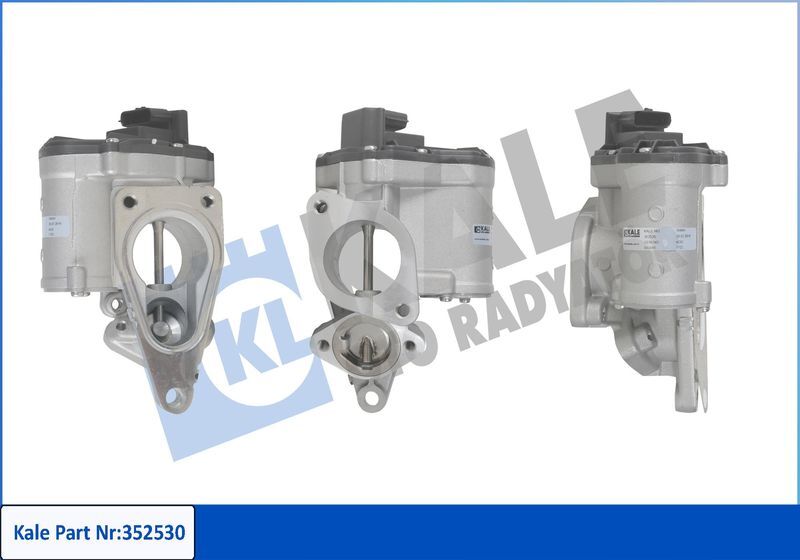 RENAULT MEGANE II/SCENIC II/LAGUNA II / SUZUKI GRAND VITARA 05- EGR VALFI 8200850755 KALE