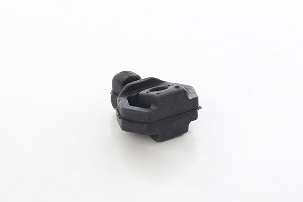 RENAULT MEGANE I/CLIO/R19 95- EGZOS ASKI LASTIGI 7700785798 BSG