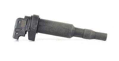 BMW E81-E82-E87-E88-E90-E91-E92-E93-E60-E61-E63-E64-F10-F11 06-17 ATESLEME BOBINI 12137638477 BSG