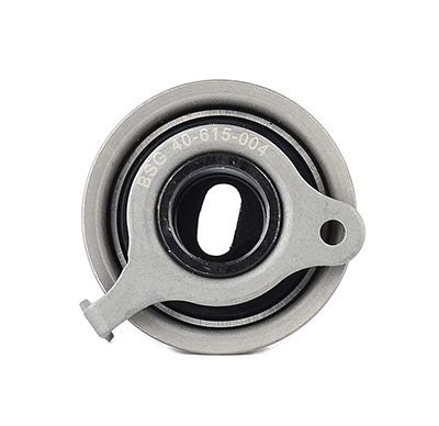 HYUNDAI ATOZ/GETZ/I10/PICANTO 1998-2011 EKSANTRIK GERGI RULMANI 2441002550 BSG
