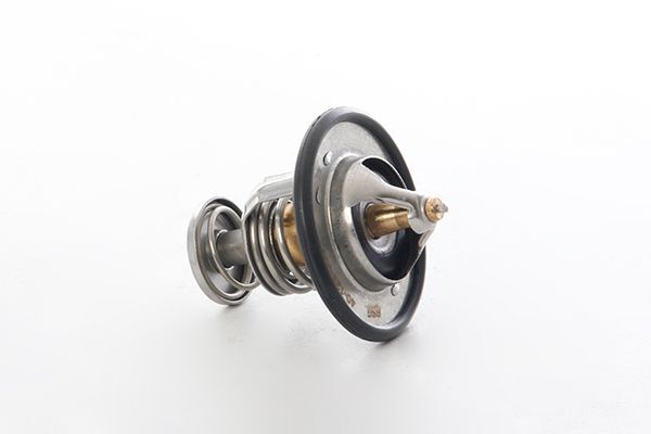 HYUNDAI STAREX/H100 KMY/BONGO/K2500/PREGIO 1997- TERMOSTAT 2551042100 BSG