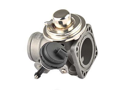 VOLKSWAGEN LT 96-06 EGR VALFI 074129463A BSG