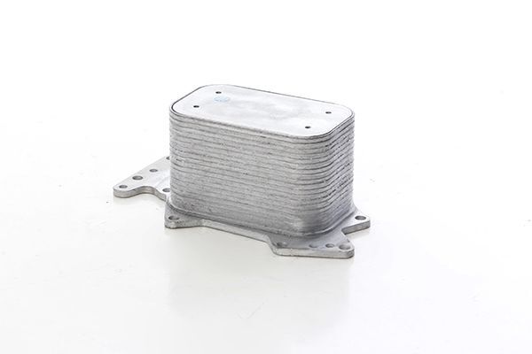 AUDI Q7-A4-A5-A6-CAYENNE 06- YAG SOGUTUCUSU 059117021K BSG