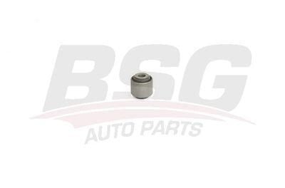 VOLKSWAGEN CRAFTER-MAN TGE 16- ARKA ASKI ROTU BURCU 2N0505465A BSG