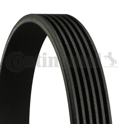 MERCEDES-BENZ Uyumlu 00-06,03-+& V KAYISI A0099978992 CONTITECH