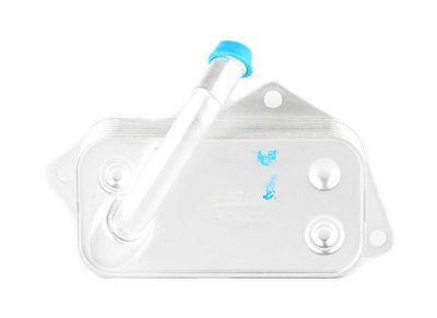 BMW Z4 Roadster E85 Yağ Radyatörü BSG BSG 15-506-004