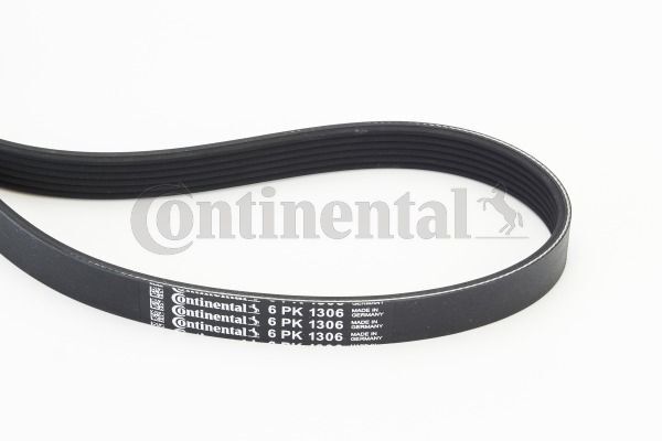 RENAULT 00- V KAYISI AM556C301AA CONTITECH