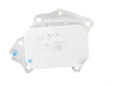 PEUGEOT 206/307/407/MINI/FOCUS/MONDEO/COURIER 03- YAG SOGUTUCU RADYATÖRÜ 1103.L1 / 1103.P0 BSG