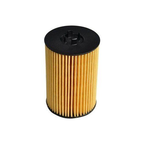 AUDI A3-A4-A5 11- YAG FILTRESI 06L115562 BSG