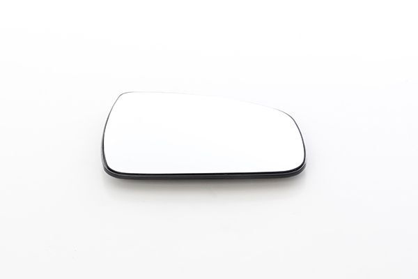 RENAULT LOGAN MCV/SANDERO 07- AYNA CAMI SAG 6001549717 BSG