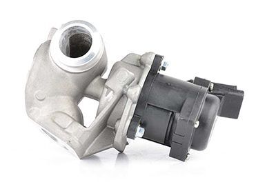 PEUGEOT FIESTA/206/207/307 08- EGR VALFI 1618.PF BSG