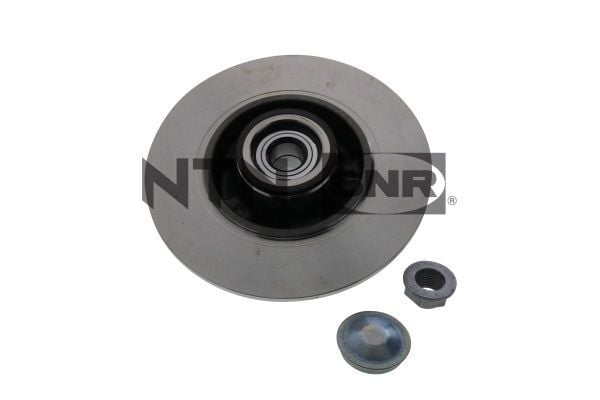 RENAULT MEGANE IV SEDAN 15- FREN DISKI ARKA 432027412R NTN-SNR
