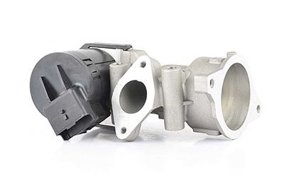 PEUGEOT 307/407/EXPERT/JUMPY/MONDEO/KUGA 04- EGR VALFI 1618.GZ BSG