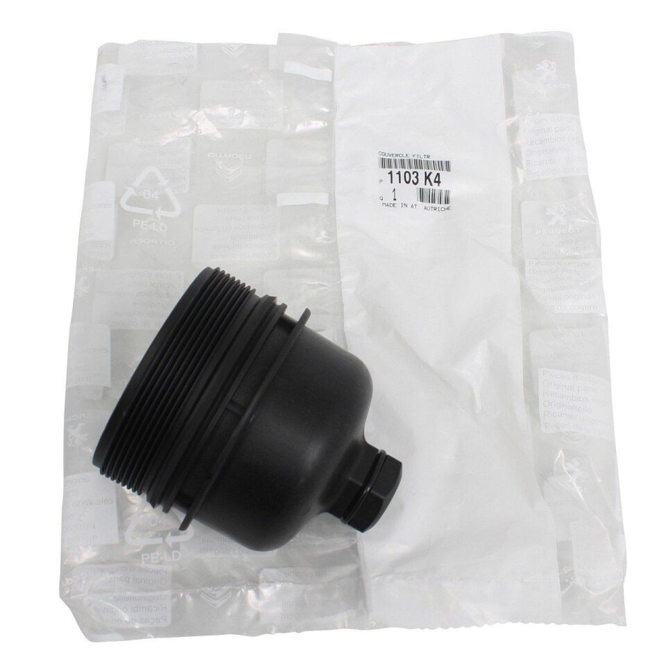 PEUGEOT 206/307/FIESTA/FOCUS/COURIER/C-MAX/MONDEO 02- YAG FILTRE KAPAGI 2S6Q 6737 AA OE-PSA