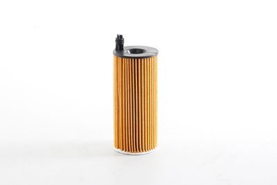 BMW 1 Seri F21 Yağ Filtresi BSG BSG 15-140-005