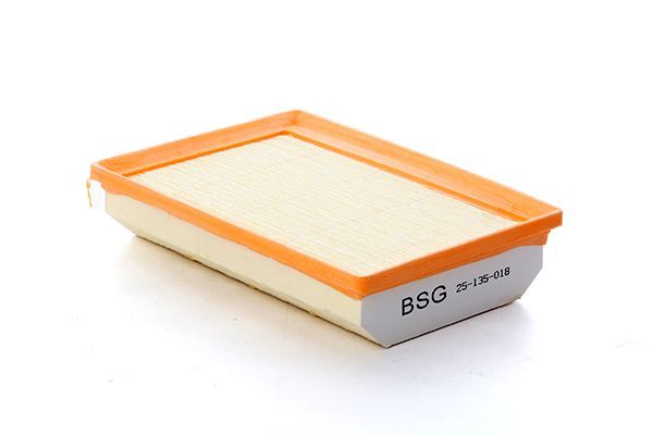 FIAT EGEA  (1,6 multijet) 15- HAVA FILTRESI 52069663-52108743 BSG