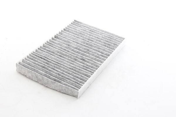 FIAT CHRYSLER 300 04- POLEN FILTRESI 04596501AB BSG