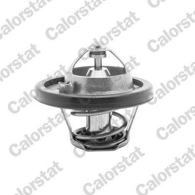 FORD FIESTA/FOCUS 95-04 TERMOSTAT 96MM 8575 B1A VERNET