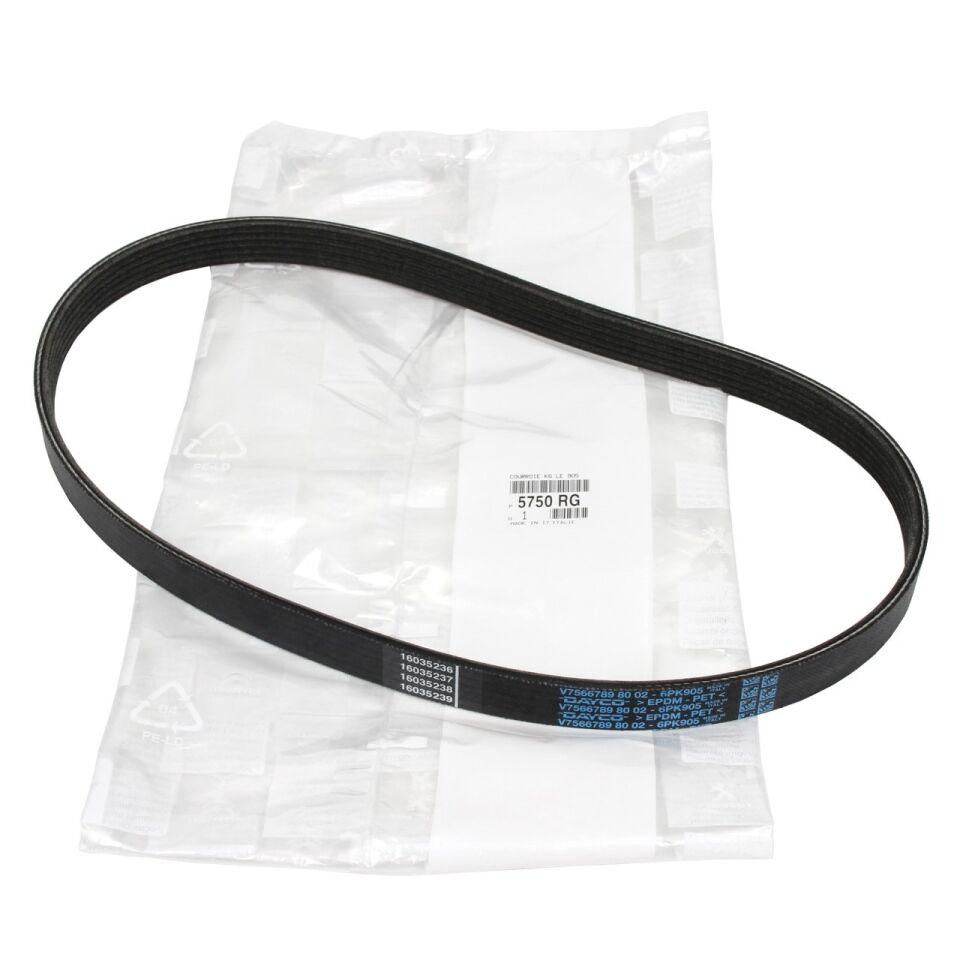 VOLKSWAGEN GOLF4-BORA-A3-TOLEDO-OCTAVIA 97-04 V KAYIS GERGI RULMANI 038903315K INA