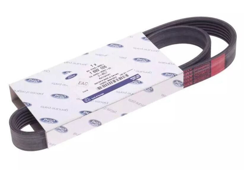 FORD FOCUS/C-MAX/MONDEO/FIESTA 11- V KAYISI AM5Q 6C301 EA DAYCO