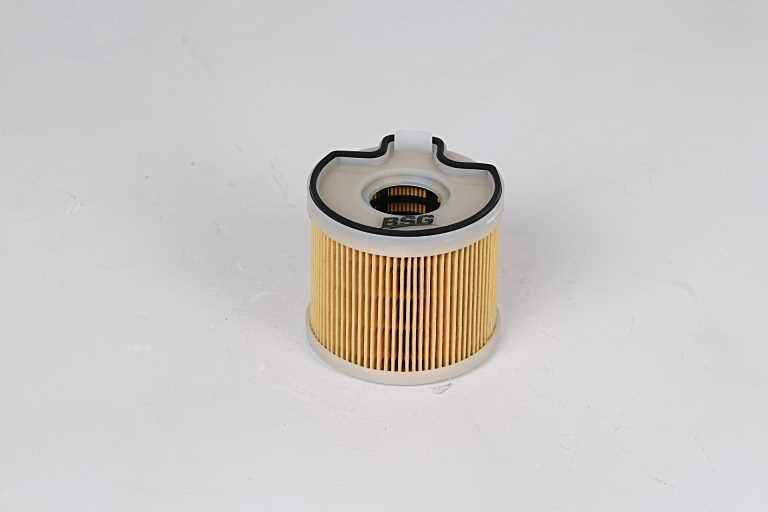 PEUGEOT 206/307/406/806/PARTNER 99- YAKIT FILTRESI 1906.C5 BSG