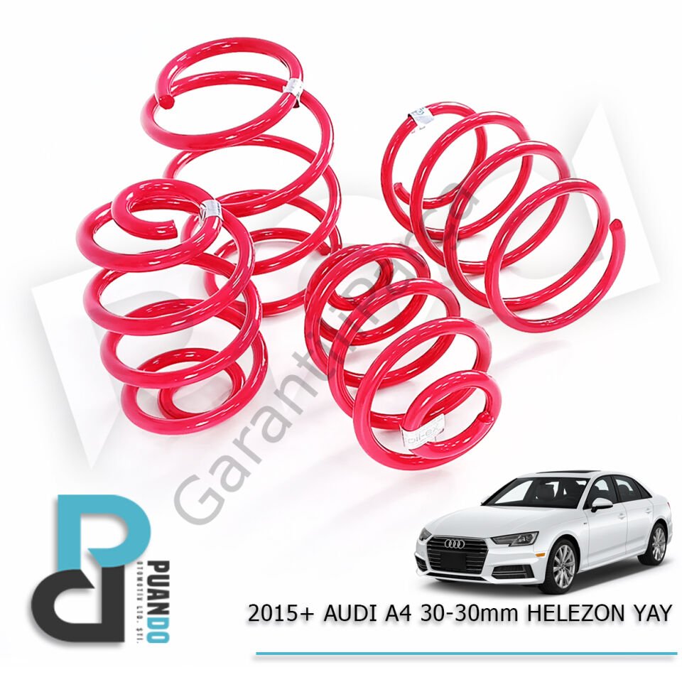 2015+ AUDI A4 30-30mm H.YAY