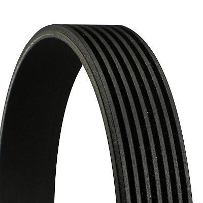 BMW Z8 00-03 V KAYISI 11281407975 CONTITECH