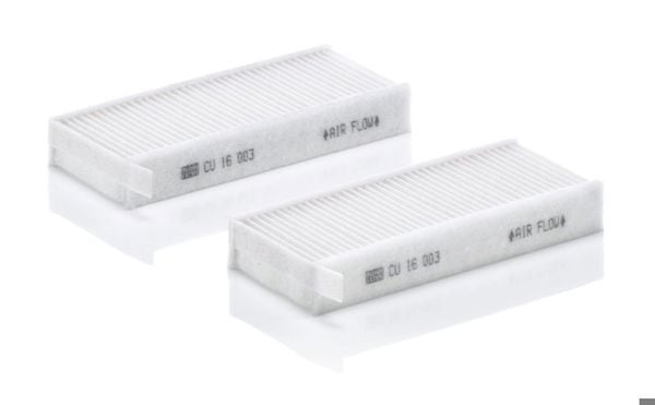 AĞIR VASITA CF FA 460, XF FA 510, XF FTT 480 POLEN FILTRESI 2181324