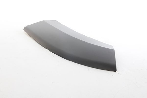 FIAT DUCATO IV-BOXER IV-JUMPER IV 14- ÇAMURLUK BANDI ÖN SOL 735585448 BSG