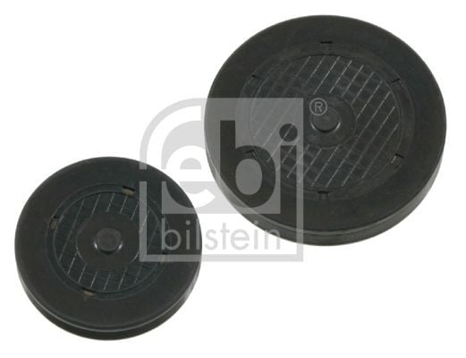 RENAULT MEGAN/CLIO/KANGO 98- EKSANTRIK TAPASI/SILINDIR KAPAK TAPASI 7700106271 FEBI