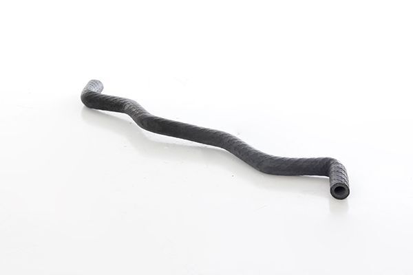 RENAULT MEGANE II/SCENIC II 03- GENLESME DEPO HORTUMU 8200295304 BSG