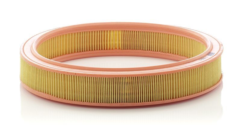 FORD ESCORT/FIESTA 86- HAVA FILTRESI 89BF 9601 AA BSG