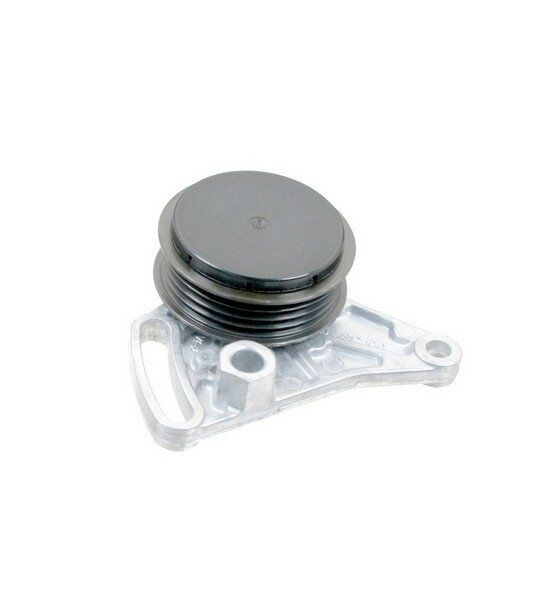 VOLKSWAGEN PASSAT-A4-A6 97-04 V KAYIS GERGI RULMANI 058260511 GMB