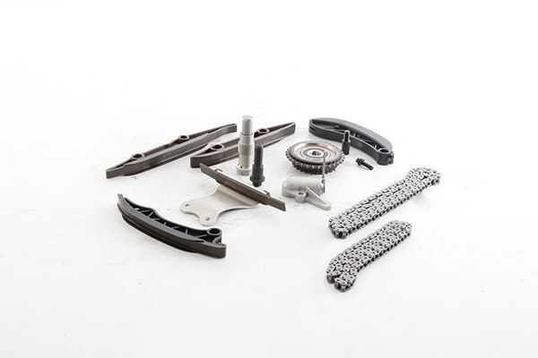 BMW F20 vb. 14- EKSANTRIK ZINCIR SETI 11318648729 BSG