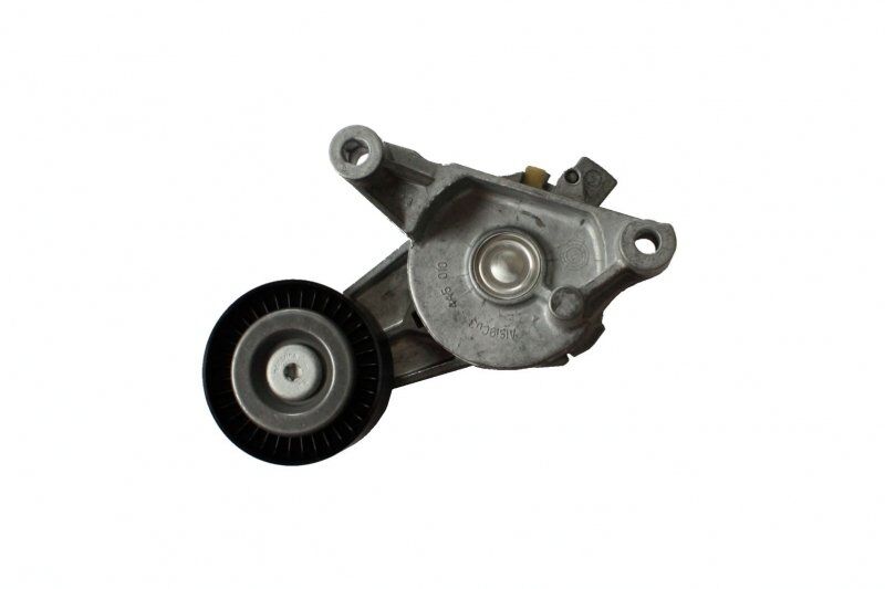 VOLKSWAGEN GOLF5-CADDY-PASSAT-T5-A3-A4 04- V KAYIS GERGISI KOMPLE 03G903315A SKF