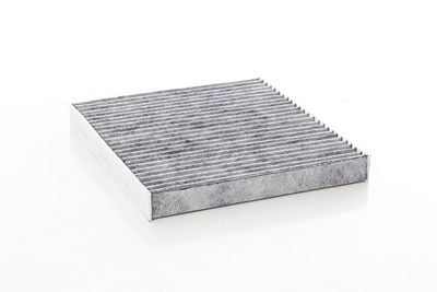 AUDI A3 Polen Filtresi (Karbonlu) BSG 90-145-018-5Q0819653