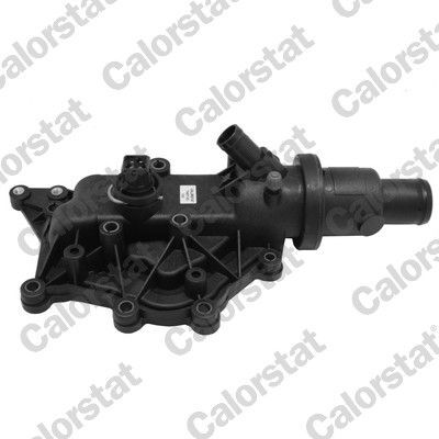 RENAULT FLUENCE/MEGAN II-III/CLIO III/MODUS/LAGUNA II 04- TERMOSTAT 8200561434 VERNET
